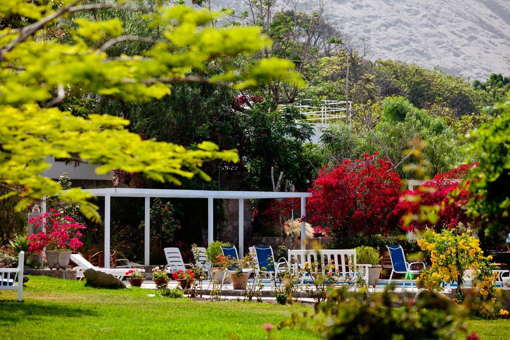 Hotel Los Palomos Lunahuana Luaran gambar